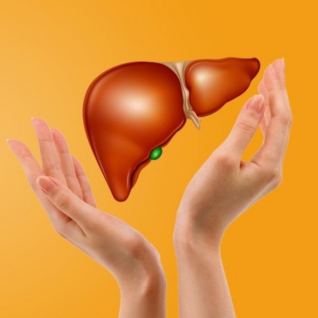7th Pan Arab Liver Transplant Society Conference