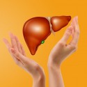 liver