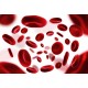 Benign Hematology Review Course