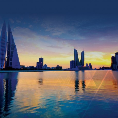 Gulf Otoforum and temporal bone dissection course