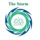 The STORM