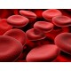 ِAnemia Workshop